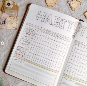 How To Create A Habit Tracker Bullet Journal And Period Tracker